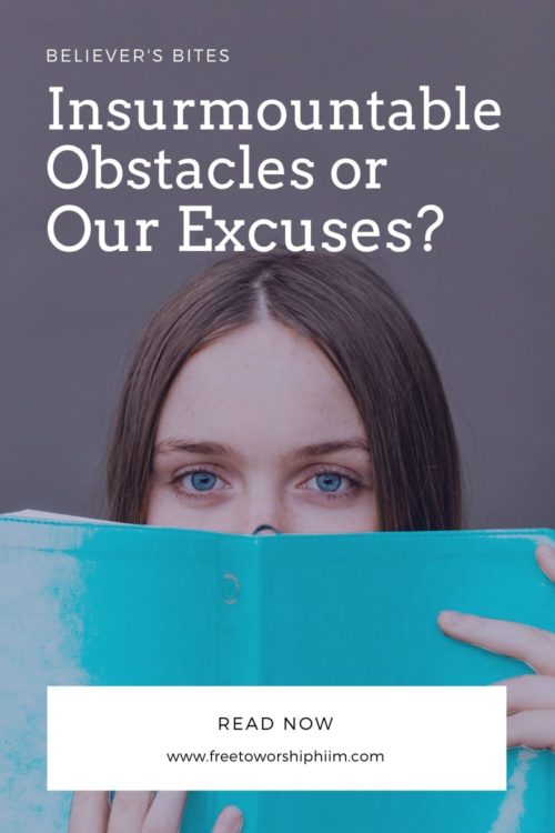 Are We Facing Insurmountable Obstacles or Our Excuses?